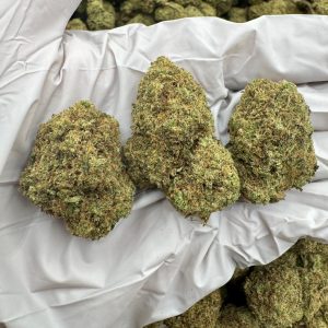 PIPE DREAM 8/10 (1LB)