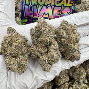 ZA* TROPICAL LIMES 9/10 (1LB)