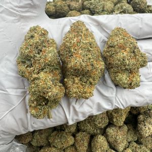 SOUR TWIZZLER 8.5/10 (1LB)