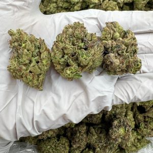 STAR CANDY 8.5/10 (1LB)