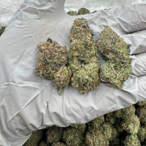WHITE SOHO 8.5/10 (1LB)